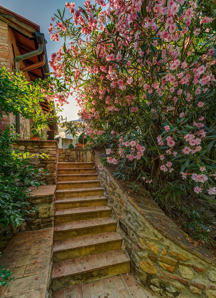 Agriturismo Casanova Di Pescille San Gimignano Eksteriør billede